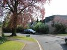 Numbers 6, 5, and 4 Cedar Chase.
Large Copper Beech tree on left.
Sign by road says `CAUTION Children playing, Please drive with care'.