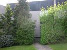 Number 5 Cedar Chase
House built of light brick with black vertical weatherboards.
Trees and shrubs in front of house.