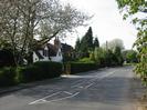 Looking North on Hill Farm Road.
Hedge on left with flowering Cherry tree and houses behind.
Sign for Taplow Vineyard in the distance.