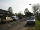 Looking West into Buffins, against the sun.
Houses on the left and right of centre.
Parked cars.
Street light.
Large trees.