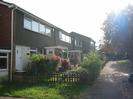 Houses on left, with footpath.
Grass area on right with tree.