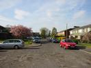 Looking North from the end of the road.
Houses to each side.
Grass and trees, one in flower.
Parked cars.
Street lights.