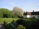 Grass and gardens, with flowering tree and cottage on the right.