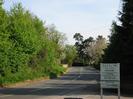 Looking South on Hill Farm Road.
Trees on the left of the road.
Sign for Taplow Vineyard on the right.