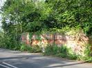 High red-brick wall with iron retaining straps.
Trees overhanging the wall.