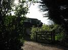 Allington Cottage.
Bushes and wooden gate.
Upper part of house visible against the sun.