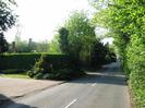 Looking North on Hill Farm Road.
Concrete driveway on left, with high clipped hedge beyond.
The roof of a house is visible over the hedge.
Bushes in leaf on right-hand side of road.