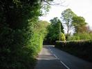 Looking South-East on Hill Farm Road.
Trees and bushes close to road on left.
Clipped hedge on right.
Ivy-covered telephone pole near the junction with Rectory Road.