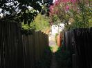 Footpath with high wooden fences each side.
Flowering tree on the right.
Road and white house visible at the end of the path.