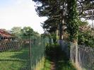 Footpath with chainlink fences on each side.
Red-brown brick building on left.
Large Scots Pine trees on the right.