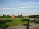 Grass with rows of young trees.
Houses in Buffins in the distance.
Shadows cast by large Scots Pine trees.