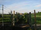 Footpath with high chainlink fences each side.
Houses in the distance.