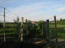 Footpath with high chainlink fences each side.
Houses in the distance.