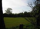 Playing field with large trees.