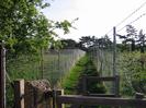 Wooden gate leading to footpath with chainlink fences on each side.