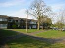 Row of houses with large windows and dark roofs.
Grass area with footpaths and large tree.
Lamp post.
Road and parked cars on the right.