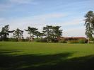 Playing field with large Scots Pine trees.
Houses visible beyond.