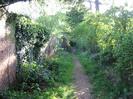 Footpath with high brick wall on left, bushes and large trees on right.