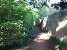 Footpath with bushes and trees on left, high brick wall on right.