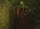 Footpath with high fence on the left and bushes on the right.