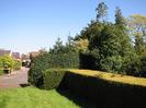 Entrance to the old churchyard on left.
Hedge on right with trees behind.