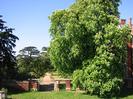 Looking north from the top of Taeppa's mound.
Wrought-iron gate in high brick wall, leading to gravel path through formal gardens behind.
Large horse-chestnut tree in flower on the right.