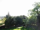 The south-west corner of the old churchyard.
Grass and trees.