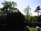 The western side of the old churchyard.
Trees and grave markers.