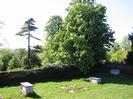 The north-west corner of the old churchyard.
Grassy area with grave markers.
High brick wall with trees beyond.