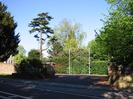 The entrance to Taplow House Hotel.
Brick walls on each side.
Large Cedar tree.
Two flagpoles in front of hedge and shrubs.
Pillars with lanterns.
