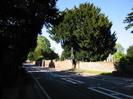 Looking north on Berry Hill.
Dark trees on the left.
High brick wall on right-hand side of road, with large dark tree behind.
Streetlight with 'KILL YOUR SPEED' sign.
Hotel building just visible behind tree.