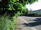 Looking south on Berry Hill.
Footpath with trees and bushes on the left.
Flats on right with hedge in front.