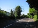 Looking north on Berry Hill.
Hedge and trees on left, with flats behind.
Footpath and trees on right.