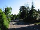 Looking south on Berry Hill.
Footpath and hedge on left.
Dark trees on the right.