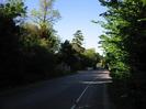 Looking north on Berry Hill.
Dark trees on left and right.
Traffic-calming features in the distance.