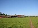 Grassy field with buttercups.
Farm buildings on left, with church spire on skyline above them.
Footpath.
Trees in distance.