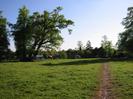 Grassy field with cows grazing.
Large trees.
Footpath.