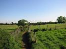 Footpath through grassy fields.
Post and wire fences.
Large trees in the distance.
Buildings on Bath Road just visible.