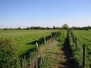 Footpath through grassy fields.
Wire fences on each side.
Area of newly-planted trees on the left.