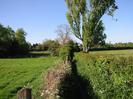 Footpath with wire fence and brambles on the left, hedge on the right.
Large trees.