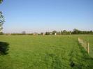 Grassy field.
Houses and tall trees in the distance.
New wire fence on the right.