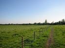 Footpath through grassy field.
New wire fence and newly-planted trees on the left.