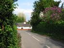 Looking east on Mill Lane.
Hedges on both sides of road.
White bungalow visible across Berry Hill.
Flowering trees on right.