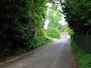 Looking east on Mill Lane.
Trees on left.
Fence and trees on right.