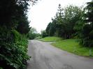 Looking west on Mill Lane.
Trees on left.
Lawns and trees on right.
