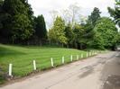 Grassy bank on left with large trees at the top.
Fence with white posts and black decorative chains.
Road in foreground.