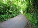 Looking east on Mill Lane.
Road rises between grassy banks.
Trees overhang the road from both sides.