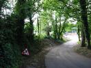 Road descending between banks of trees.
Men at work sign.