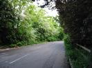 Looking south on Mill Lane.
Trees on both sides.