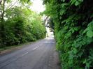Looking south on Mill Lane.
Trees on both sides.
